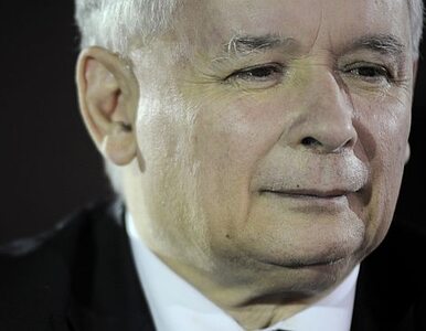 Miniatura: Kaczyński: trzeba wzywać władzę, by...
