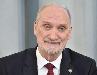 Miniatura: Macierewicz wciąż chroniony przez...