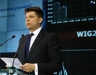 Miniatura: Petru: Nie byłem żadnym doradcą Tuska