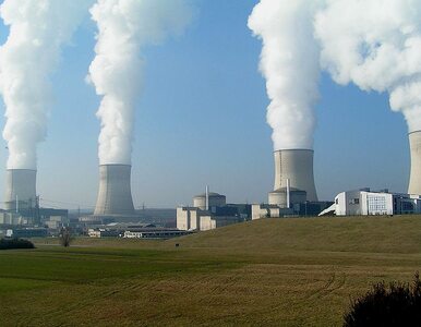 Miniatura: Vaclav Klaus: potrzebujemy elektrowni...