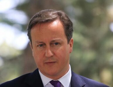 Miniatura: Cameron: Nie chcemy kolejnej zimnej wojny...