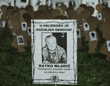 Masakra w Srebrenicy. Apelacja ws. dożywocia dla Ratko Mladicia