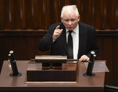 Miniatura: Kaczyński pozytywnie o Schetynie....
