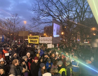 Miniatura: Demonstracje w obronie sędziów. Tłum przed...