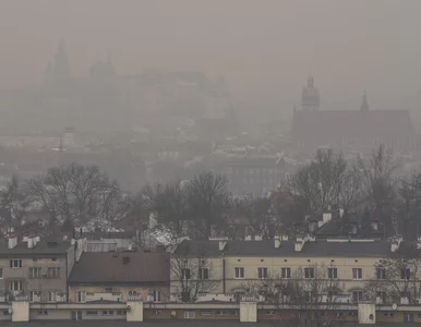 Miniatura: Policjanci dostaną maski antysmogowe....