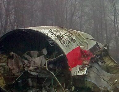 Miniatura: "Nie wiem gdzie są próbki z Tu-154M ale na...