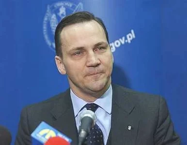 Miniatura: Sikorski: popsułem zabawę z prawyborami