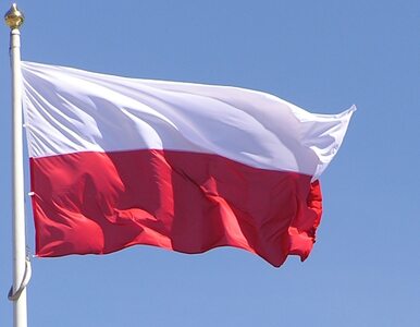 Miniatura: Polska mogłaby reprezentować Ukrainę i...