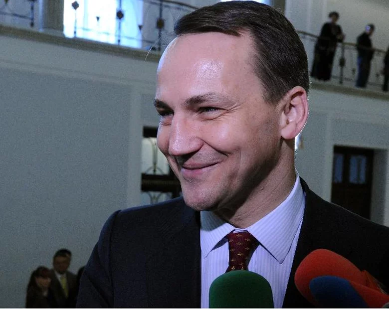 Miniatura: Sikorski wyróżnił portugalskiego politologa