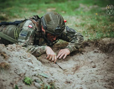 Miniatura: Światowy Związek Żołnierzy AK odpowiada...