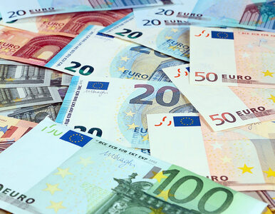 Miniatura: 20 lat od deklaracji, że przyjmiemy euro....