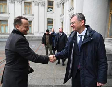 Miniatura: Syreny alarmowe zakłóciły konferencję...