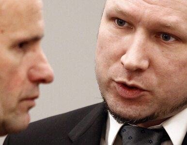 Miniatura: Breivik: rodziny moich ofiar cierpią tak,...