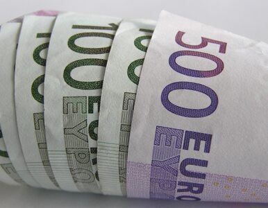 Miniatura: Euro poniżej 4 złotych