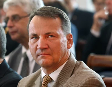 Miniatura: Sikorski: Jacek Saryusz-​Wolski prędzej...