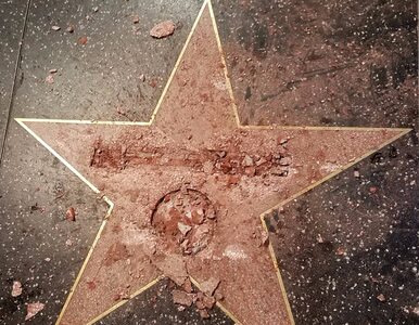 Miniatura: Gwiazda Donalda Trumpa w Hollywood zniszczona
