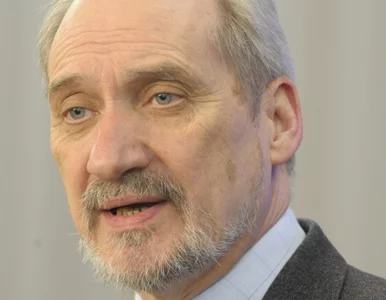 Miniatura: Macierewicz: piloci polegli, a Sikorski...