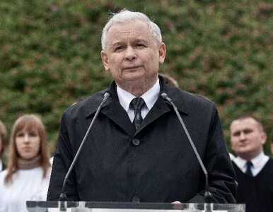 Miniatura: Kaczyński: gdy wygramy zmienimy kraj