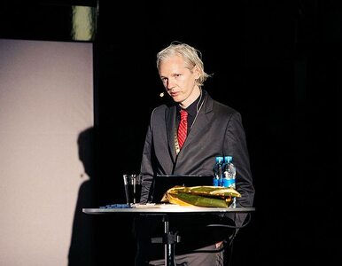 Miniatura: WikiLeaks: Polska i sojusznicy oczami...