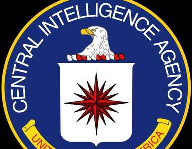 Miniatura: Dyrektor CIA: Al-Kaida chciała uderzyć...
