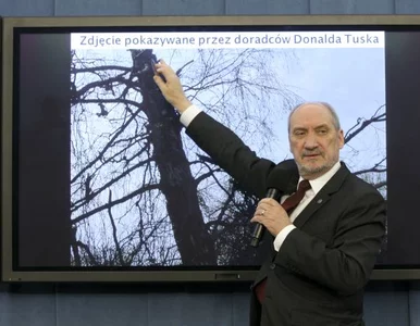 Miniatura: "Macierewicz doprowadził do tego, że...