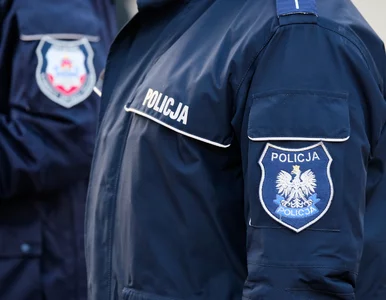 Miniatura: Policja w biurach organizacji kobiecych....