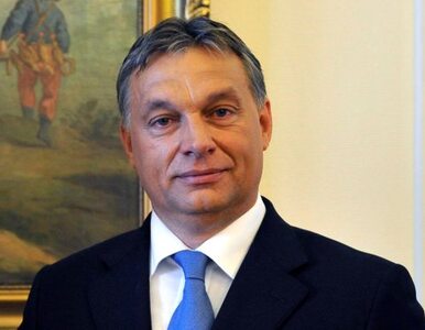 Miniatura: Węgierska prawica chce odebrać tereny...