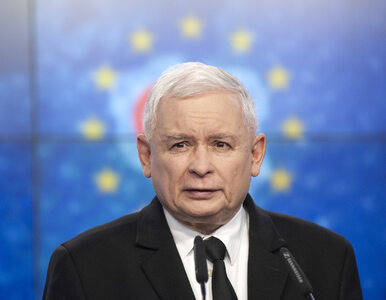 Miniatura: Kaczyński o tym, jak powstał program 500...