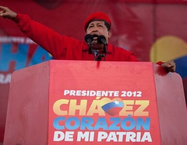 Miniatura: Chavez w czerwonym berecie walczy o...