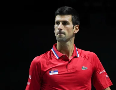 Miniatura: Novak Djoković poza Australian Open?...