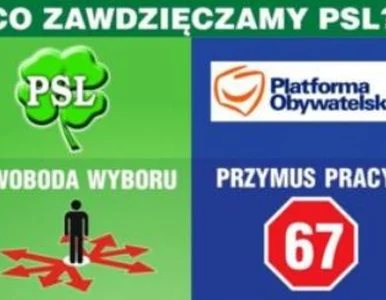 Miniatura: PSL: co zawdzięczamy PO? Przymus pracy