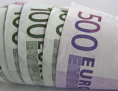 Miniatura: Wejść do strefy euro czy zostać przy złotym?