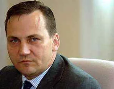 Miniatura: Sikorski: "patrioci" zohydzają Polskę