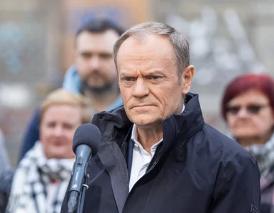 Miniatura: Tusk wbija szpilę Hołowni. „Wtedy on też...