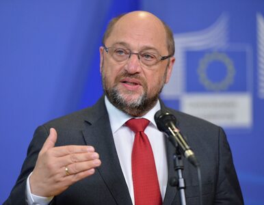 Miniatura: Polacy wyproszeni z debaty w PE. Schulzowi...