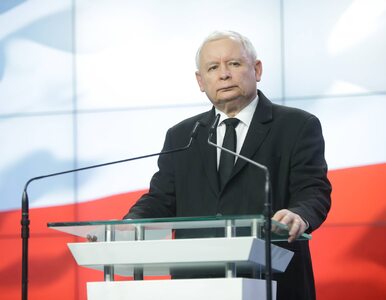 PiS odsłonił karty. Znamy listy wyborcze do Sejmu