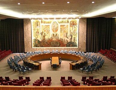 Miniatura: Seul prosi RB ONZ o potępienie Korei Płn.