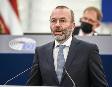 Miniatura: Manfred Weber skomentował wybory w Polsce:...