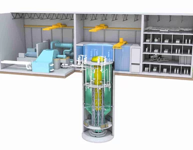 Miniatura: Polska elektrownia jądrowa, ale prywatna?...