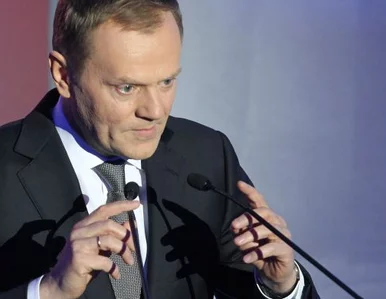 Miniatura: Piskorski: Tusk się rozleniwił