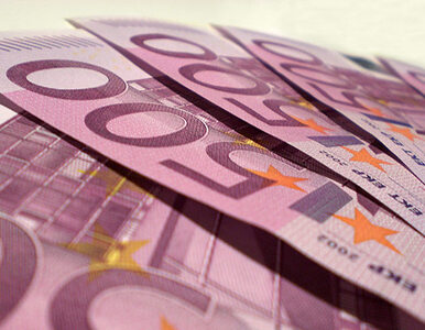 Miniatura: "To nie jest kryzys euro"