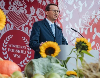 Miniatura: Morawiecki: Polska wieś nie jest...