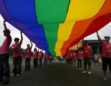 Miniatura: SLD zgłosi ustawę o związkach gejowskich