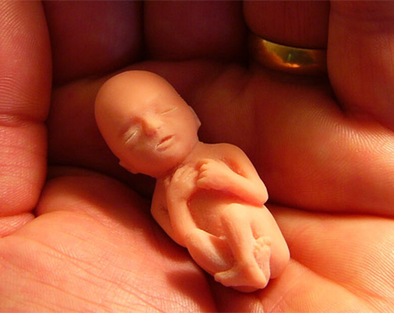 Miniatura: Turcy są za aborcją