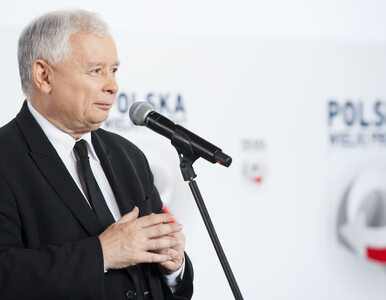 Miniatura: Kaczyński wyjaśnia, jak wyglądać powinien...