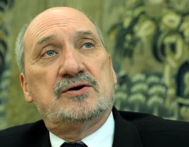 Miniatura: Poseł PO: Macierewicz sieje teorie spiskowe