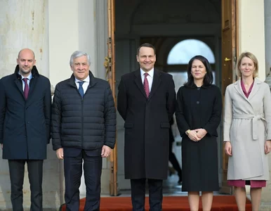 Miniatura: Sikorski spotkał się z europejskimi...