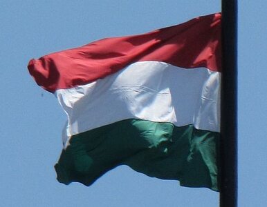 Miniatura: Węgry: zdelegalizowana partia prawicowa...