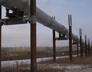 Ukraina: nie kradniemy rosyjskiego gazu