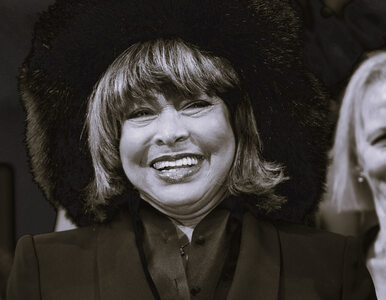 Miniatura: Tina Turner zgromadziła gigantyczny...